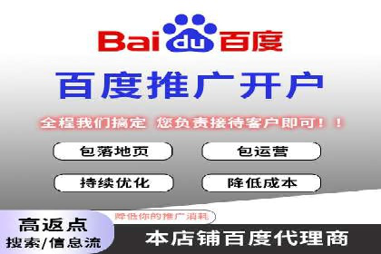 百度竞价包年推广：成功案例解析与效果评估